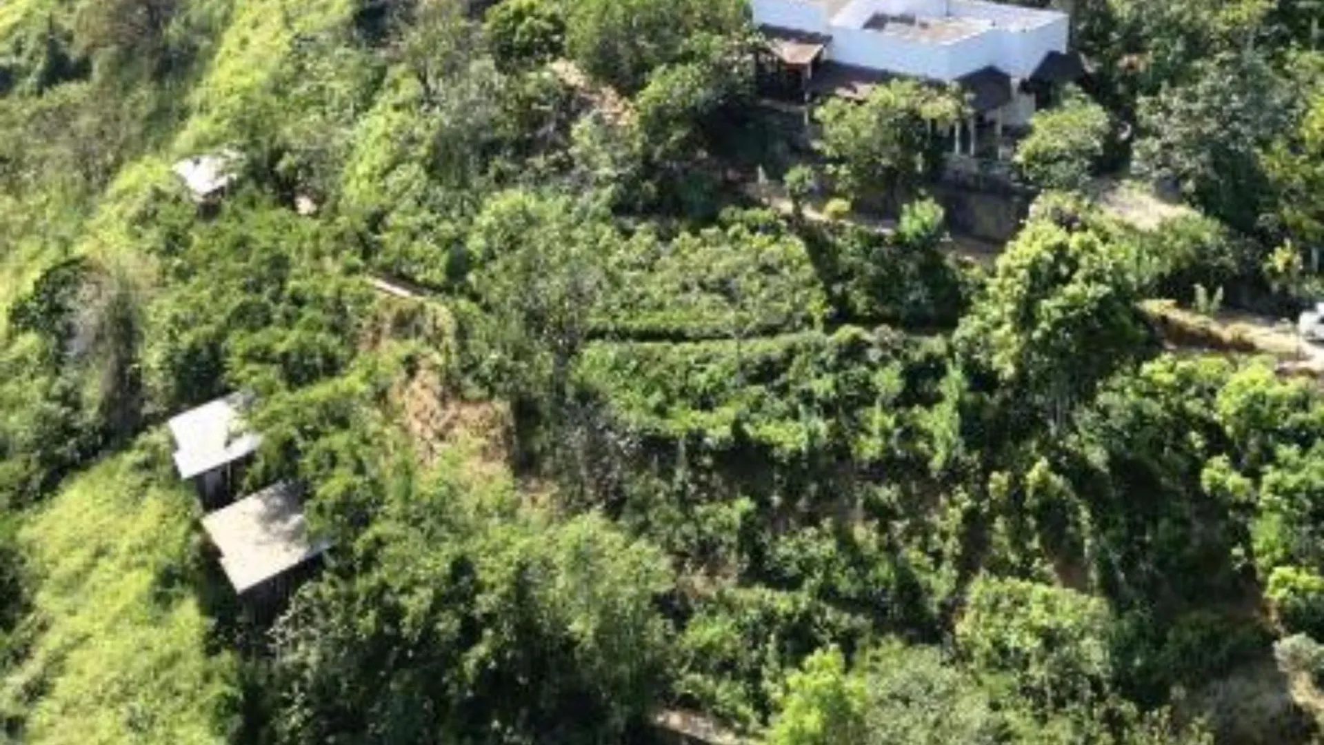 Aqua Dunhinda Villa & Nature Retreat